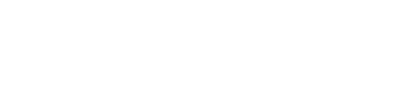 solutioIT